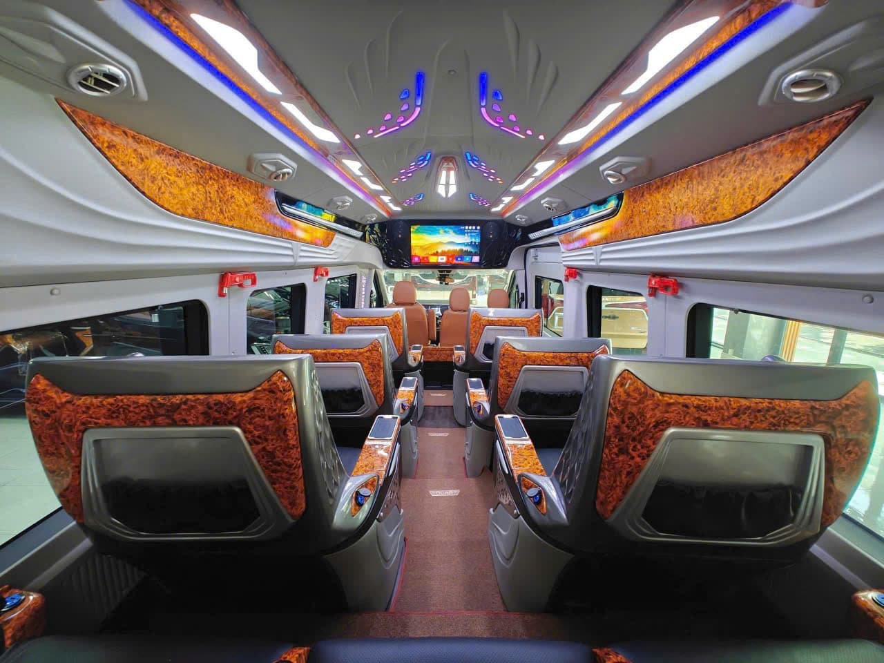 Limousine 12 chỗ - ảnh 1/3