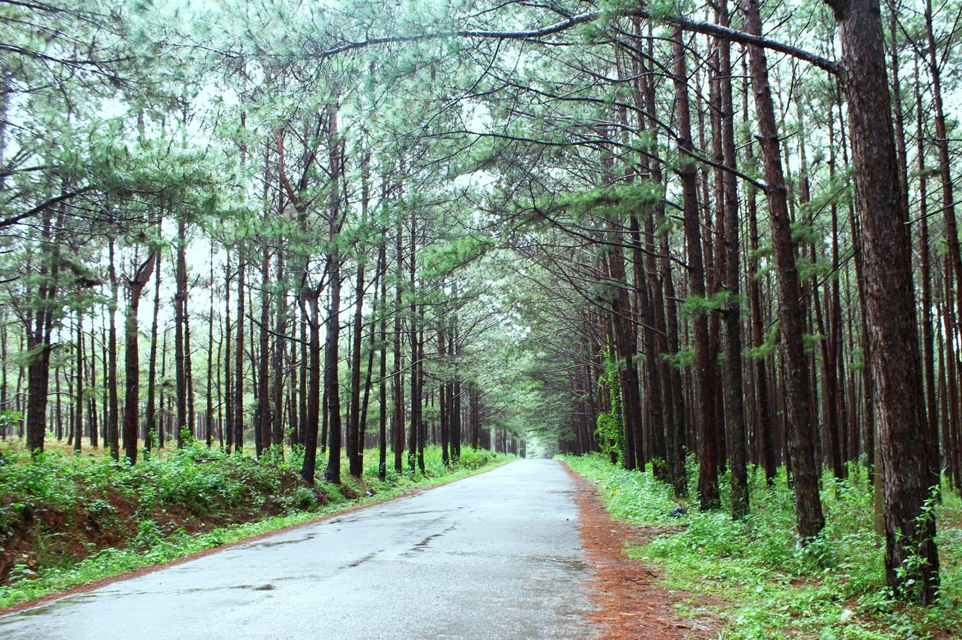 Saigon – Mui Ne – Da Lat in 4 Days by Private Car